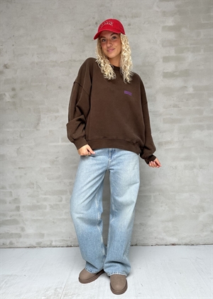 Plizzy sweat Chestnut American Vintage 